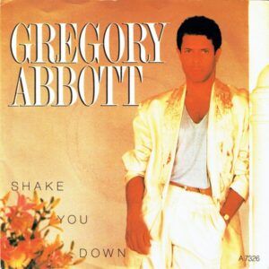 Shake You Down