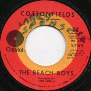 Cottonfields / The Nearest Faraway Place