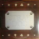 Stray Dog