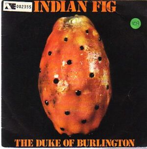 Indian Fig
