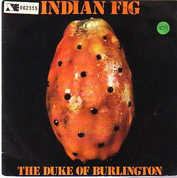 Indian Fig