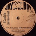 (Shake, Shake, Shake) Shake Your Booty