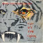 Eye Of The Tiger = El Ojo Del Tigre