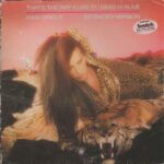 That's The Way (I Like It) (Extended Version)