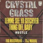 Lemme See Ya Gitchyer Thing Off, Baby (Hustle) b/w Fio Maravilha - Taj Mahal