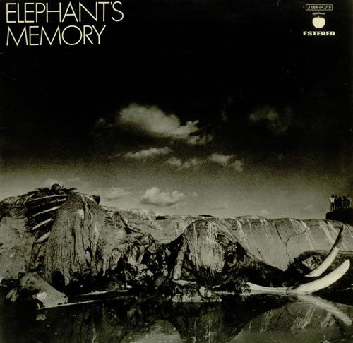 fded1cfd81171963710cd60f60bc03bf264398a2_0_0.jpeg Elephant's Memory