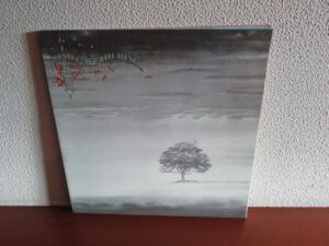 Wind & Wuthering