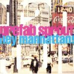 Hey Manhattan!
