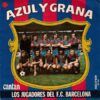 Azul Y Grana
