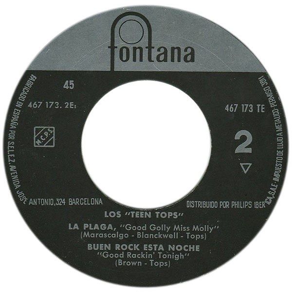 El Trepidante Rock And Roll De Los Teen Tops