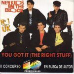 You Got It (The Right Stuff)
