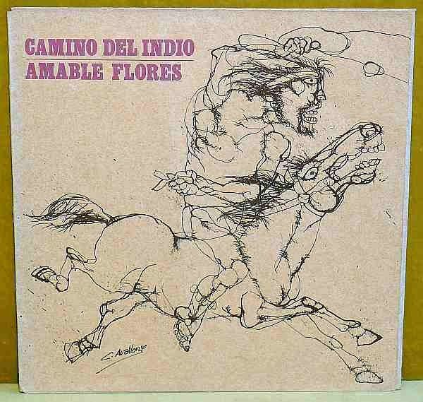 Camino Del Indio