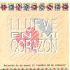 Llueve En Mi Corazon