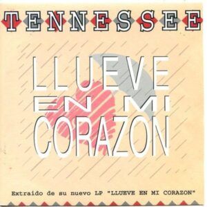 Llueve En Mi Corazon