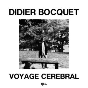 Voyage Cerebral