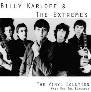 The Vinyl Solution (Wait For The Blackout)