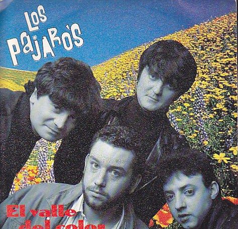 El Valle Del Color