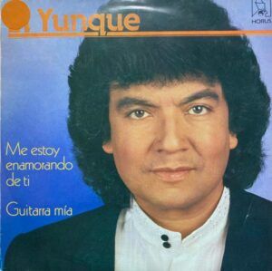 Me Estoy Enamorando de Ti / Guitarra Mia