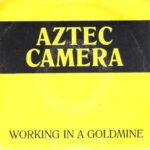 Working In A Goldmine