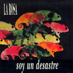 Soy Un Desastre