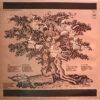 The Byrds Play Dylan