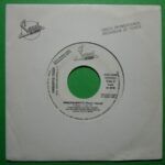 e0110b40265e5f2db93b8579458669f7884c5a29_0_0.jpeg Immensamente (Remix Dance)