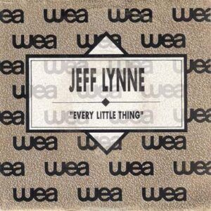 Every Little Thing