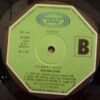 Bullfrog Blues