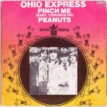 Pinch Me (Baby, Convince Me) /  Peanuts
