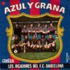 Azul Y Grana