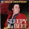 33d8f635d25933c4834a624d163657fead0c67f3_0_0.jpeg Hello Josephine