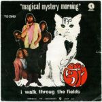 Magical Mystery Morning