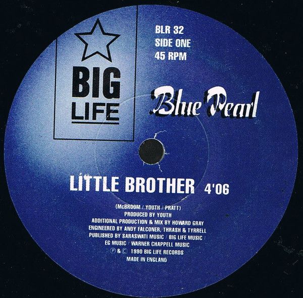 5fd49811824ee5feae1698abc27d62f408fb620d_0_0.jpeg Little Brother