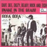 6c2205607d5bedc62d52f8fe156faf2ebd5de73a_0_0.jpeg Snake In The Grass / Bora Bora