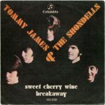 Sweet Cherry Wine / Breakaway