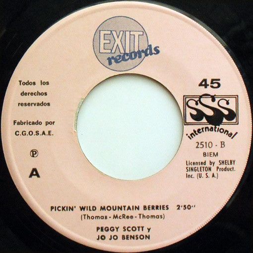 Pickin' Wild Mountain Berries / Pure Love And Pleasure