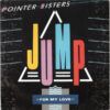 7c63a784f3ef2721efdf8bc6ea6804e86a1a5fa1_0_0-1.jpeg Jump (For My Love)