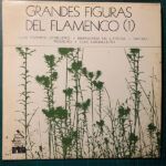 96d6f16fe99bd3154430344b60b096b33a50bd6b_0_0-1.jpeg Grandes Figuras Del Flamenco (1)