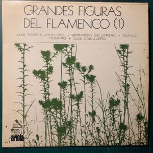 Grandes Figuras Del Flamenco (1)