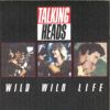 Wild Wild Life