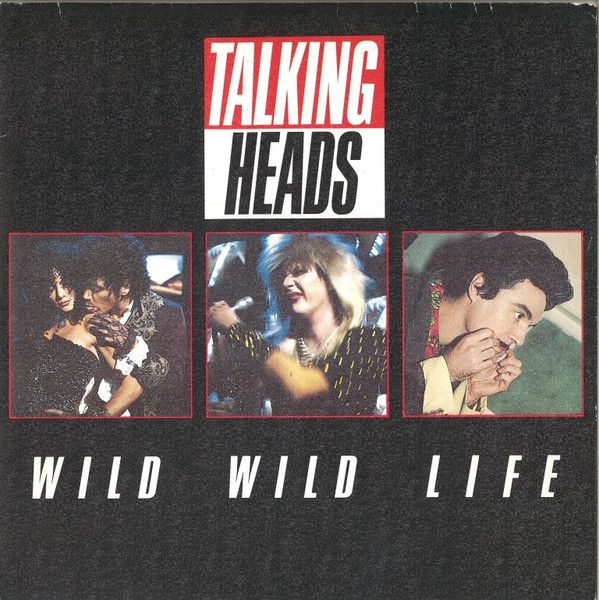 Wild Wild Life