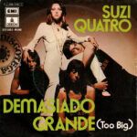 c80c5640e1fa5287a32282cbf455c48062264776_0_0-1.jpeg Demasiado Grande (Too Big)
