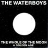 0115836180dfdb6c02bb31bdd3569ac03ca8129f_0_0.jpeg The Whole Of The Moon