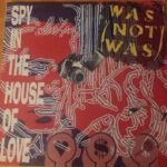 Spy In The House Of Love