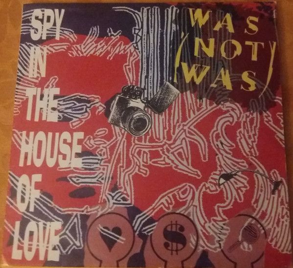 Spy In The House Of Love