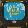 The Size Of A Cow