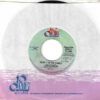 5e9fb21b3acc14e5009704bc442d2ef543e6c807_0_0.jpeg Keep It In The Family / Long As There's You (I Got Love)