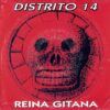 65791901fd971f056368a93252341f403df560bd_0_0.jpeg Reina Gitana