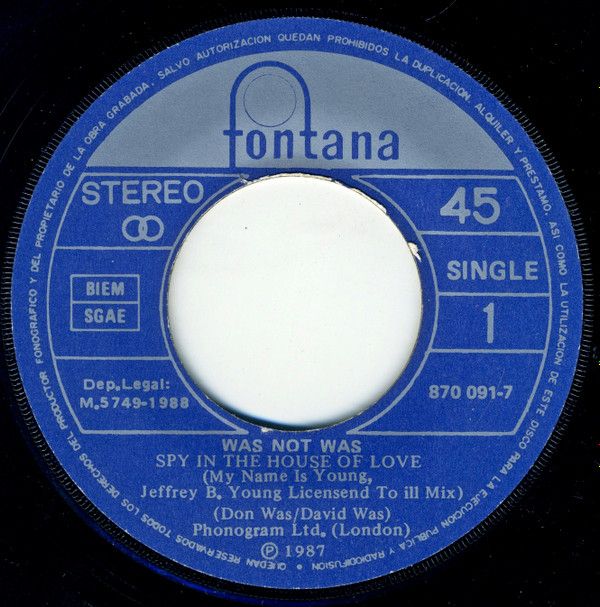 Spy In The House Of Love
