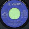 The Shadows